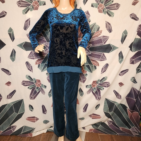 Simply Vera XS burnout semi sheer teal blue velvet long sleeve Top - Picture 5 of 12